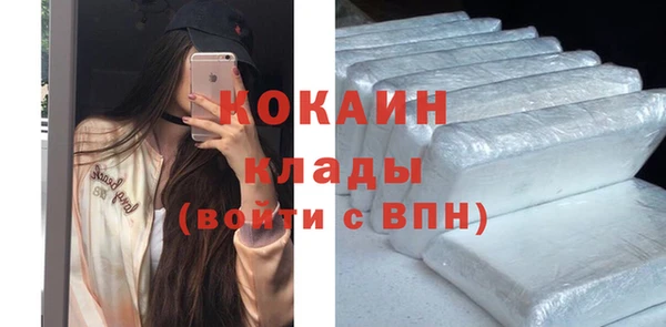 шишки Каменногорск