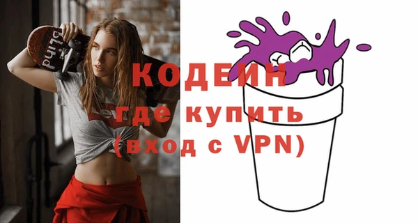 гашик Вяземский