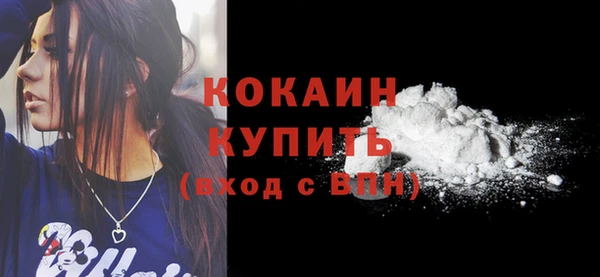 гашик Вяземский