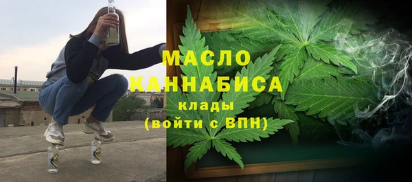 гашик Вяземский
